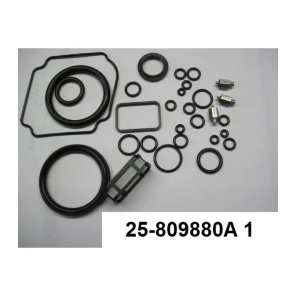 Кольца (O-RING KIT, TRIM) 25-8M0171820